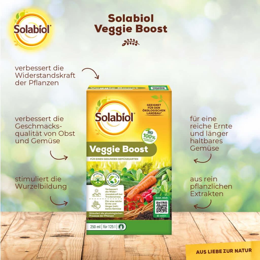 Produktvorteile von Solabiol Veggie Boost 